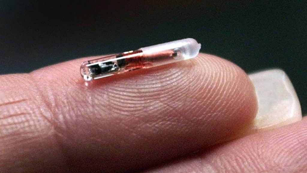 Existen Chips RFID minúsculos, incluso implantes